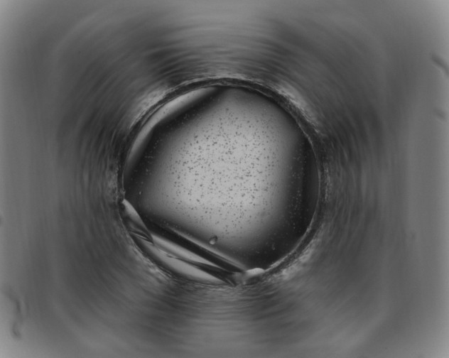 X0000097470977200803071650