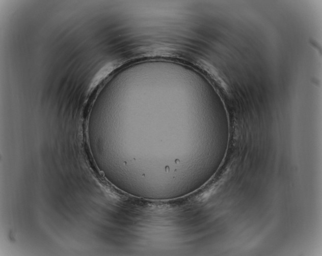 X0000097470978200803071650