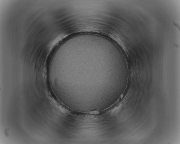 X0000097470979200803071650