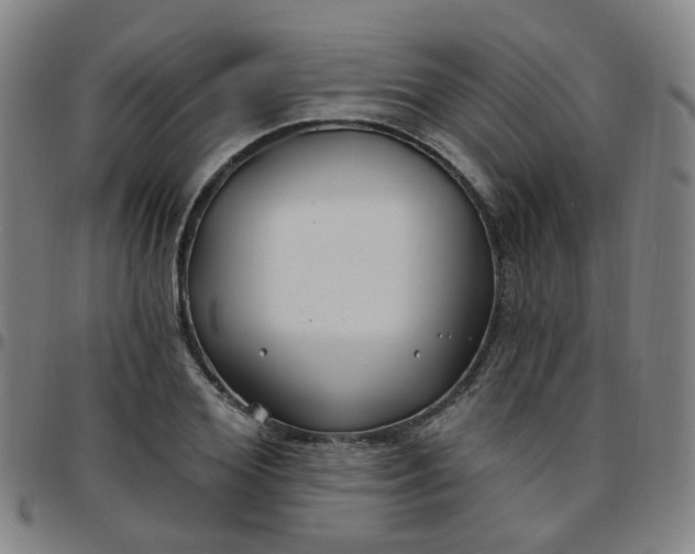 X0000097470980200803071649