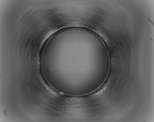 X0000097470981200803071649