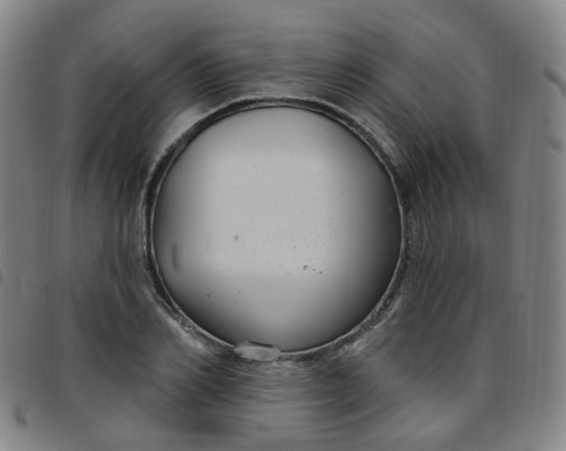 X0000097470982200803071649