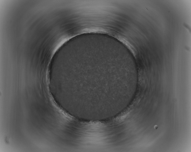 X0000097470983200803071649