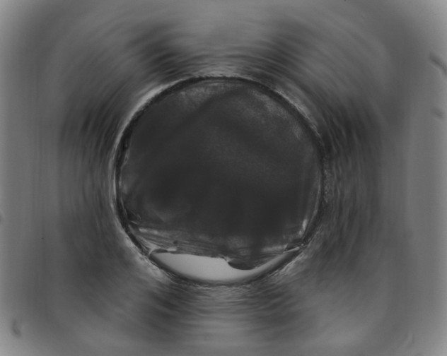 X0000097470984200803071649