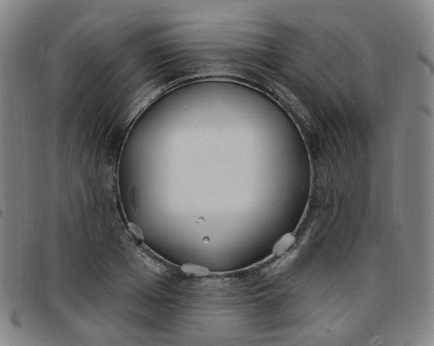 X0000097470985200803071649