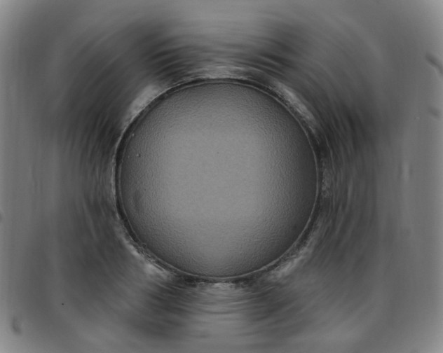 X0000097470986200803071649