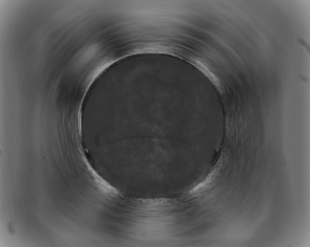 X0000097470988200803071649