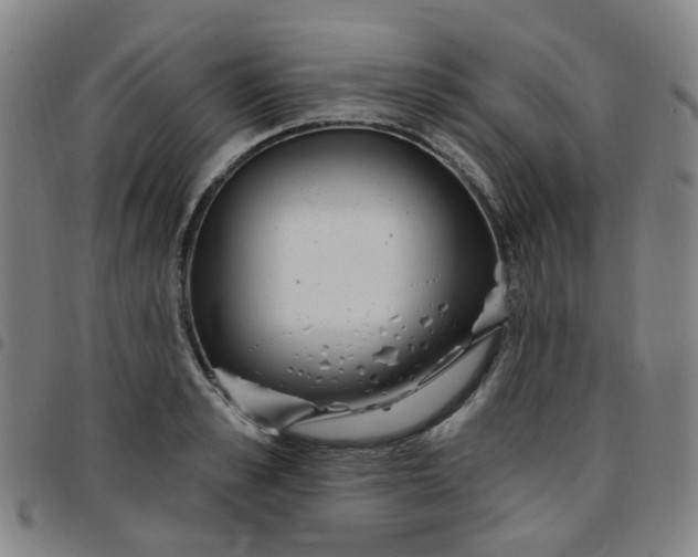 X0000097470989200803071649