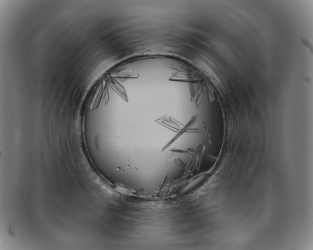 X0000097470990200803071649