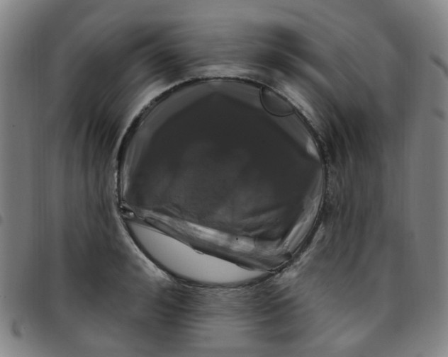 X0000097470992200803071649