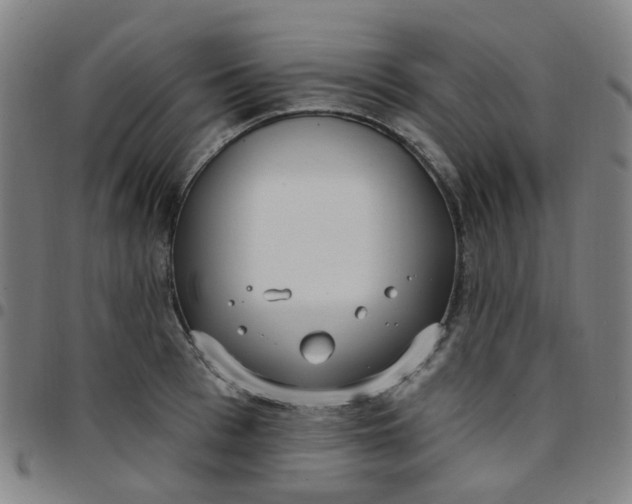 X0000097470993200803071649
