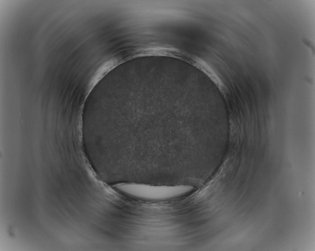 X0000097470994200803071649