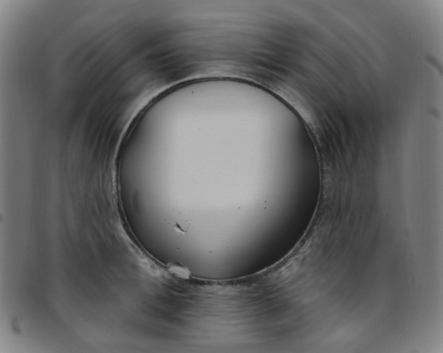 X0000097470996200803071649