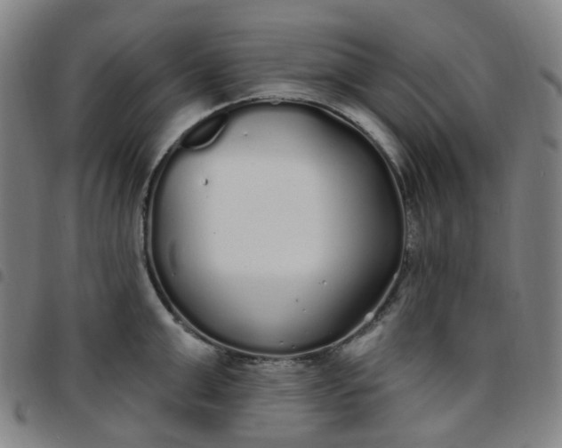 X0000097470999200803071649