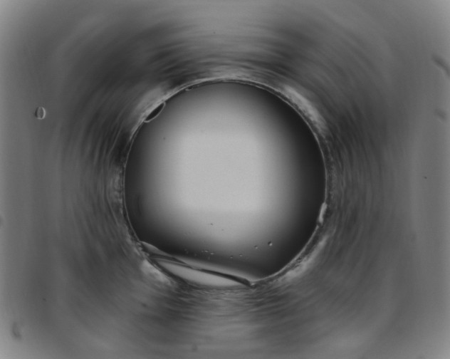 X0000097471001200803071649