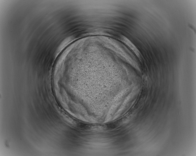 X0000097471002200803071649