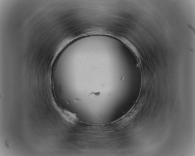 X0000097471005200803071649