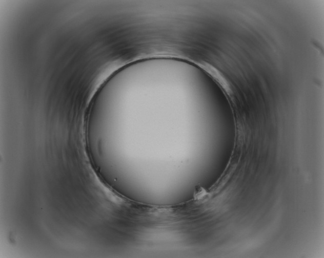 X0000097471006200803071649