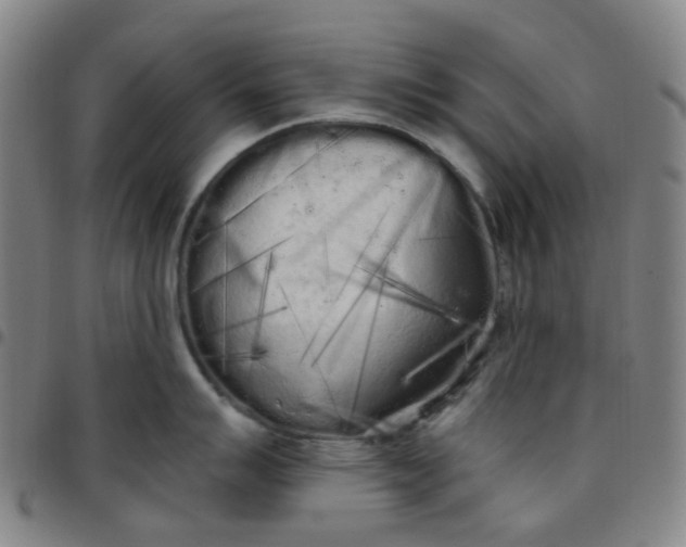 X0000097471007200803071649