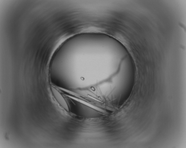 X0000097471008200803071649