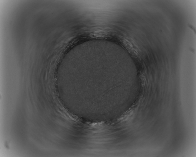 X0000097471009200803071648