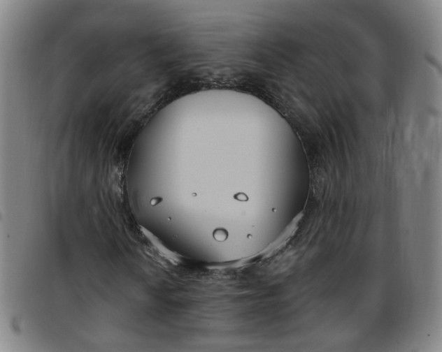X0000097471010200803071648