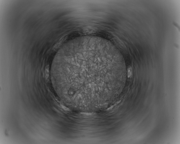 X0000097471011200803071648