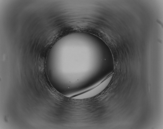 X0000097471012200803071648