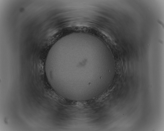 X0000097471013200803071648