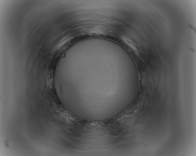 X0000097471015200803071649