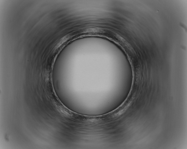 X0000097471017200803071649