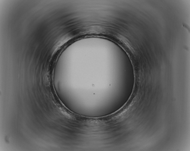 X0000097471018200803071649