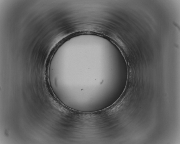 X0000097471020200803071649