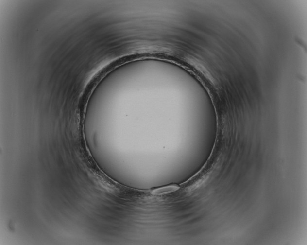 X0000097471021200803071649