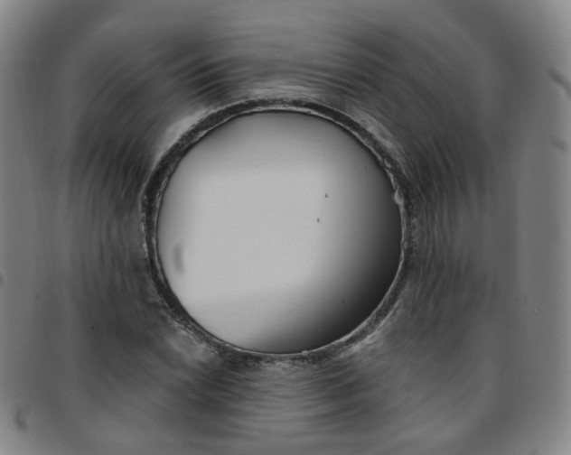 X0000097471022200803071649