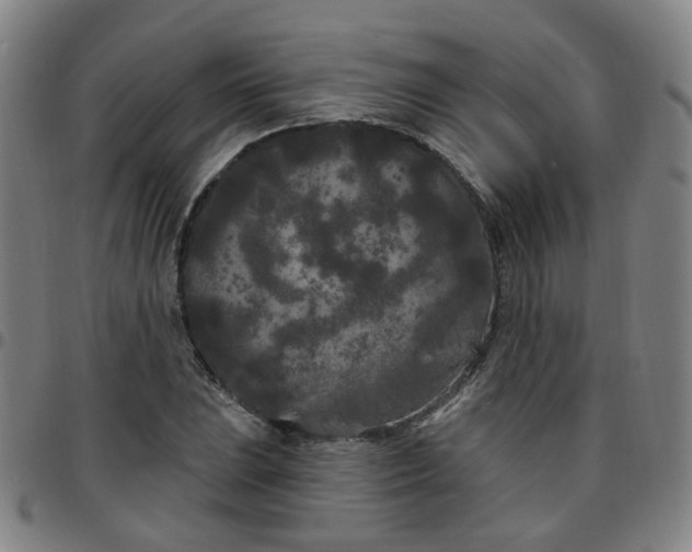 X0000097471023200803071649
