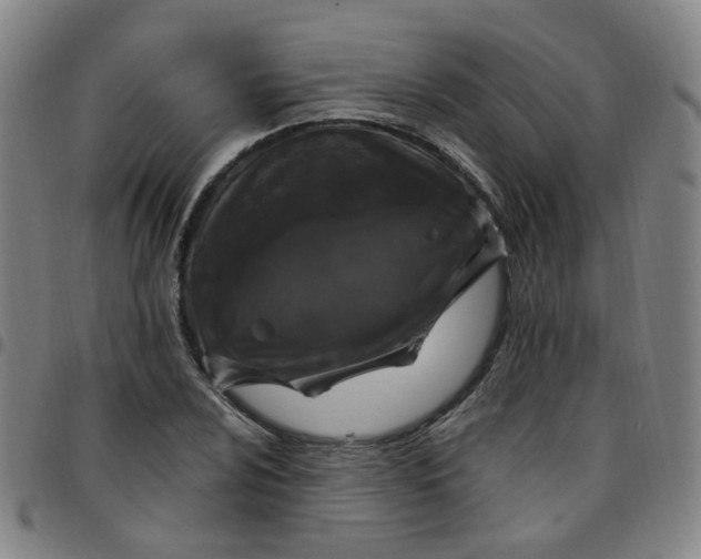 X0000097471024200803071649