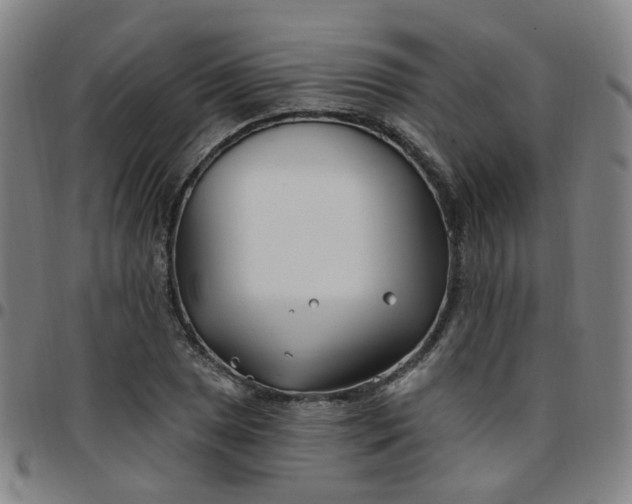 X0000097471025200803071649