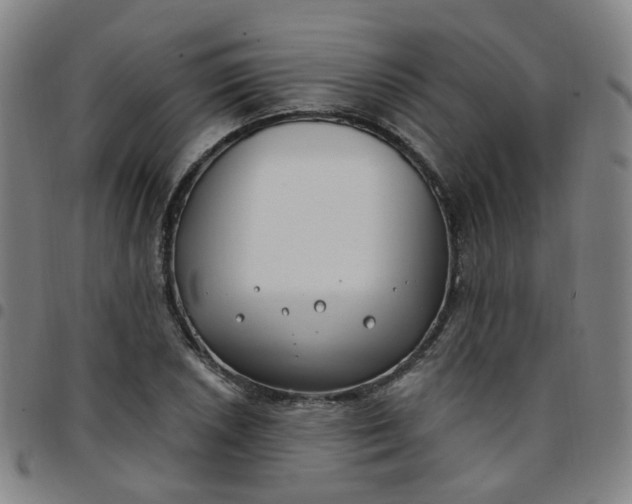 X0000097471026200803071649