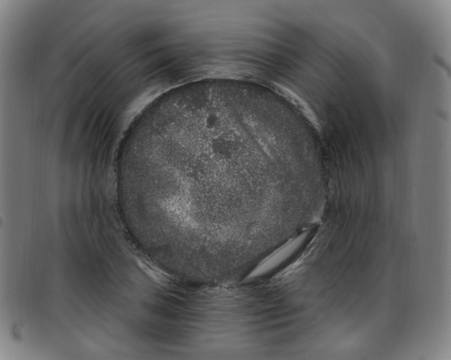 X0000097471027200803071649