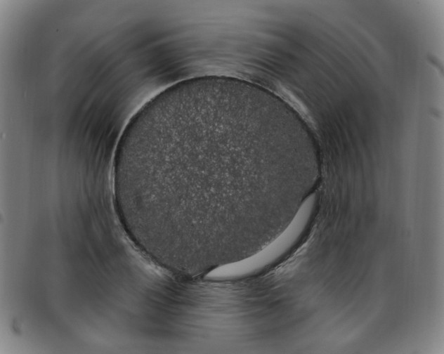 X0000097471028200803071649
