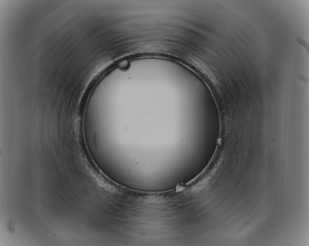 X0000097471029200803071649