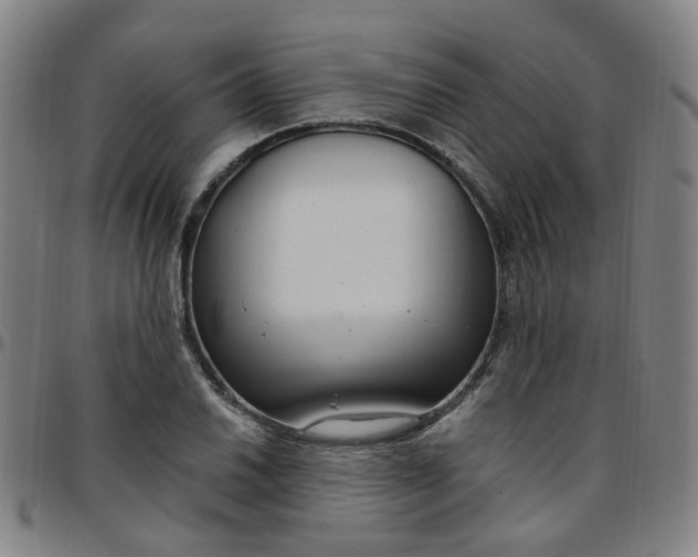 X0000097471030200803071649