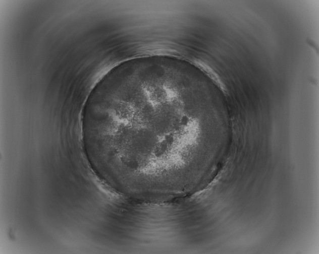 X0000097471031200803071649