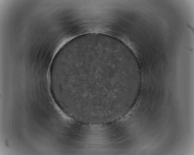 X0000097471032200803071649