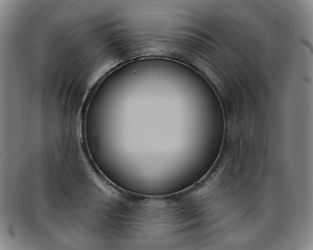 X0000097471034200803071649