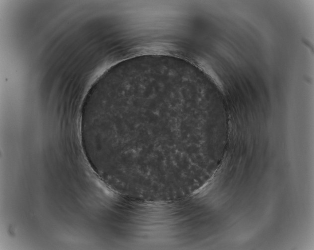 X0000097471035200803071649