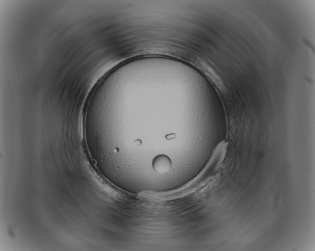 X0000097471036200803071649