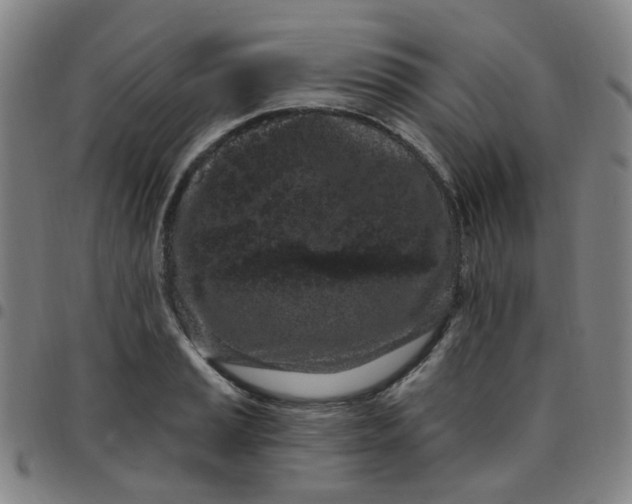 X0000097471037200803071649