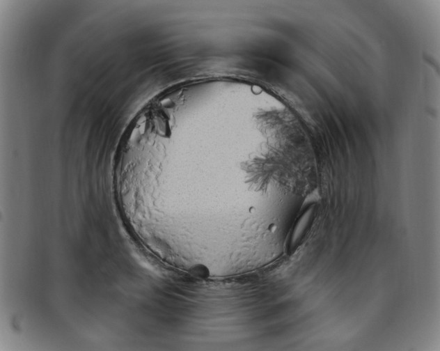 X0000097471039200803071649